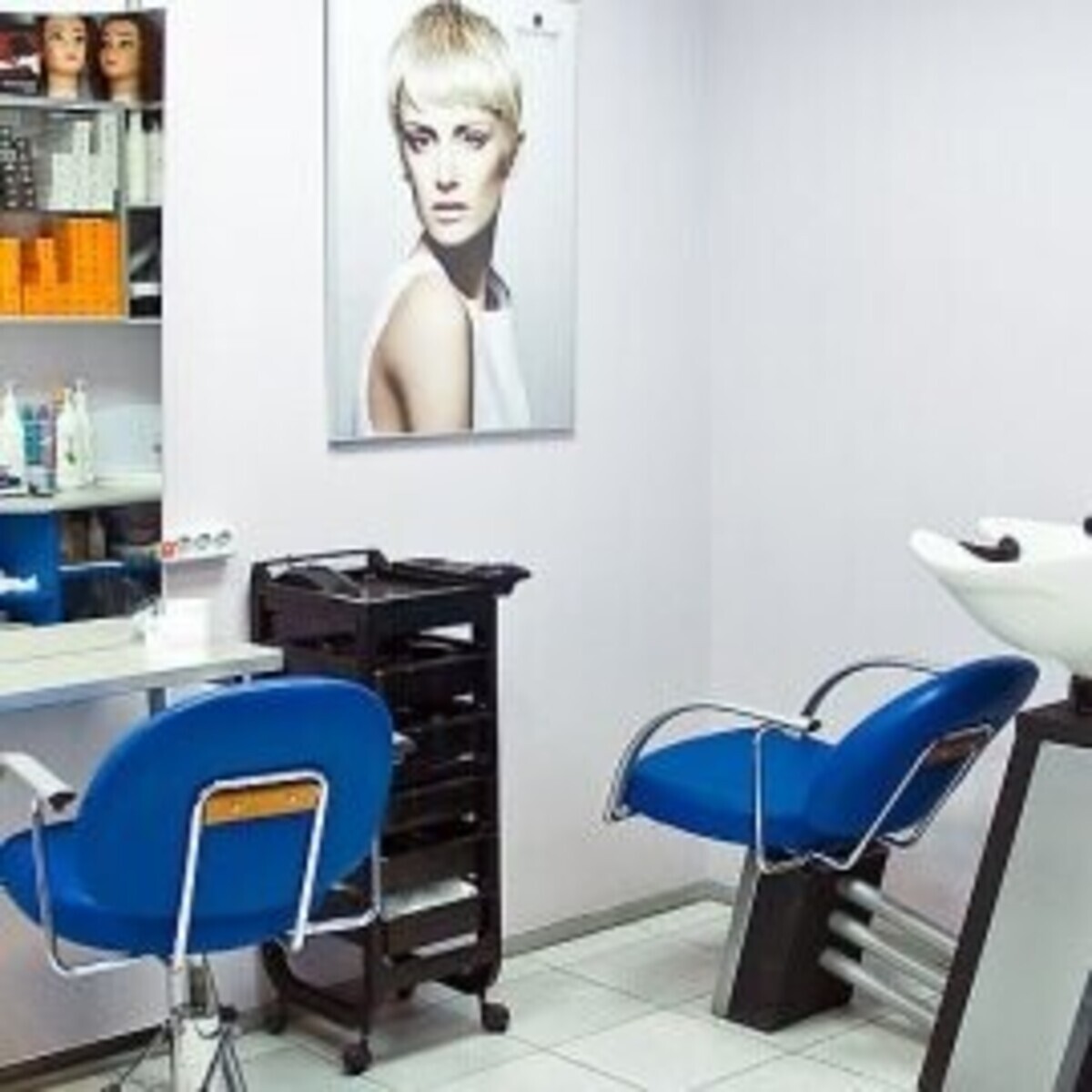 Саженцы ирисов. Ирис германский пинк. Ирис бородатый экзотик стар. Ирис салон красоты ярославль на фрунзе. Ирис чебоксары.