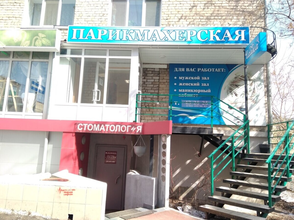 Чайка