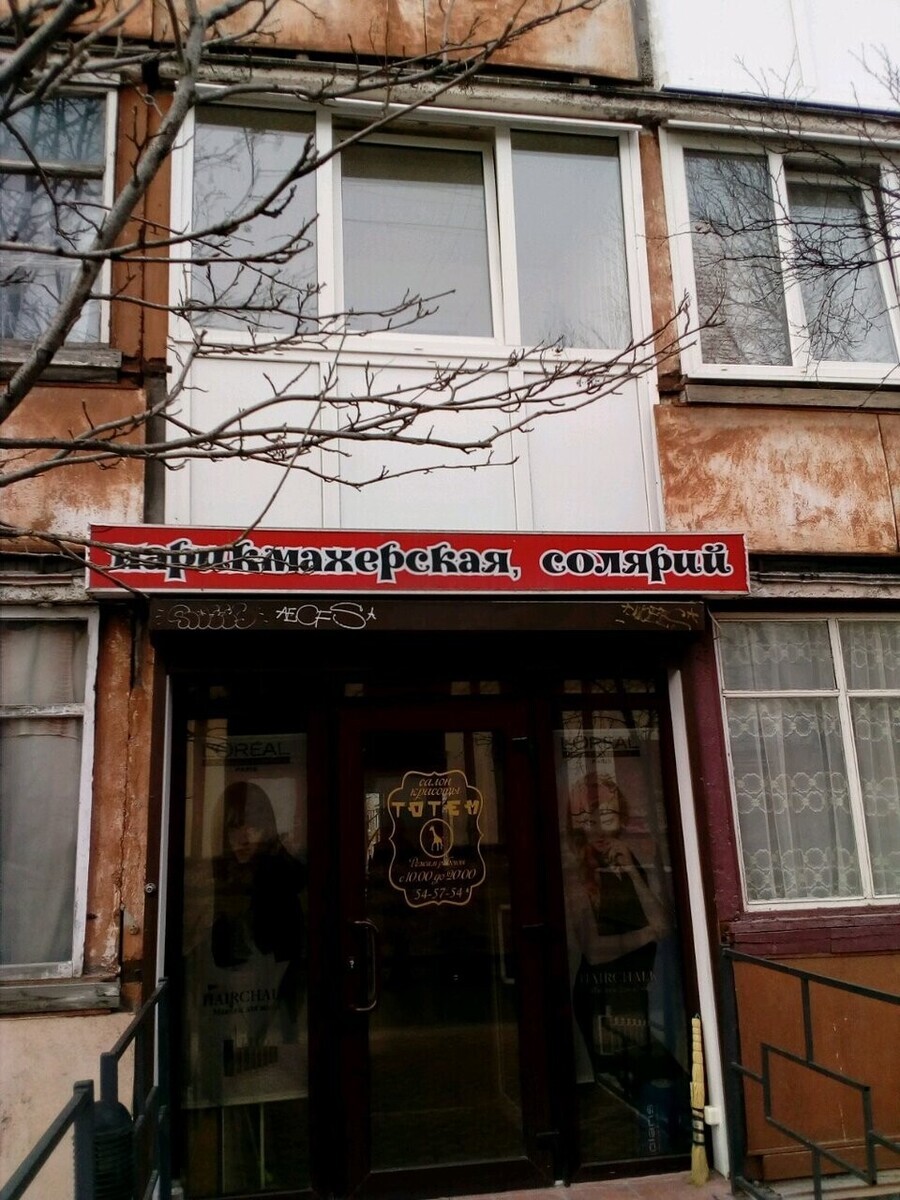 чио чио сан