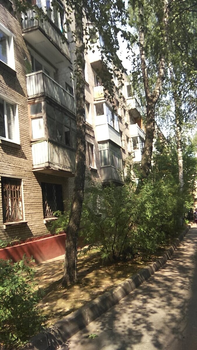 Орхидея СК