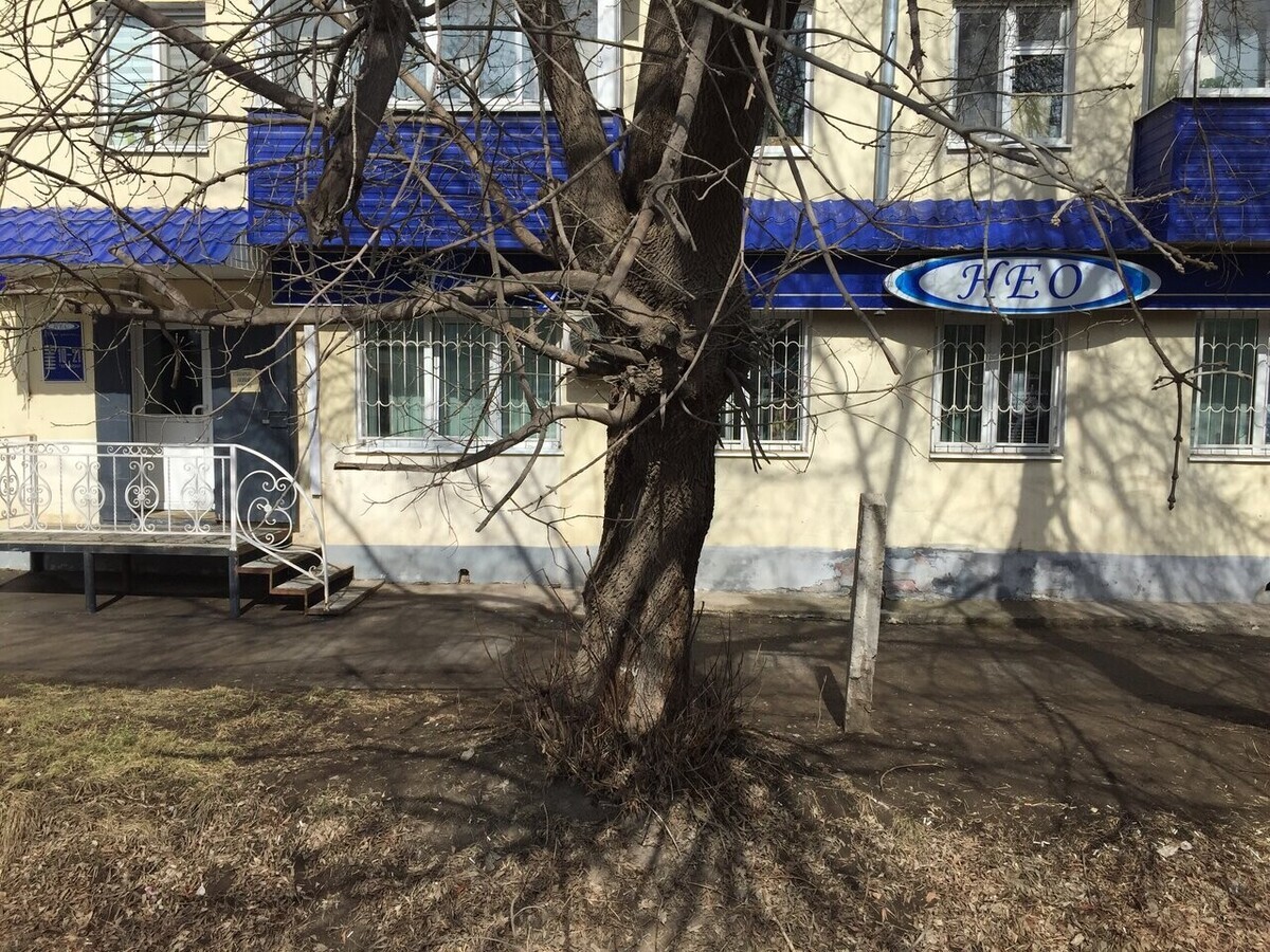 Нео