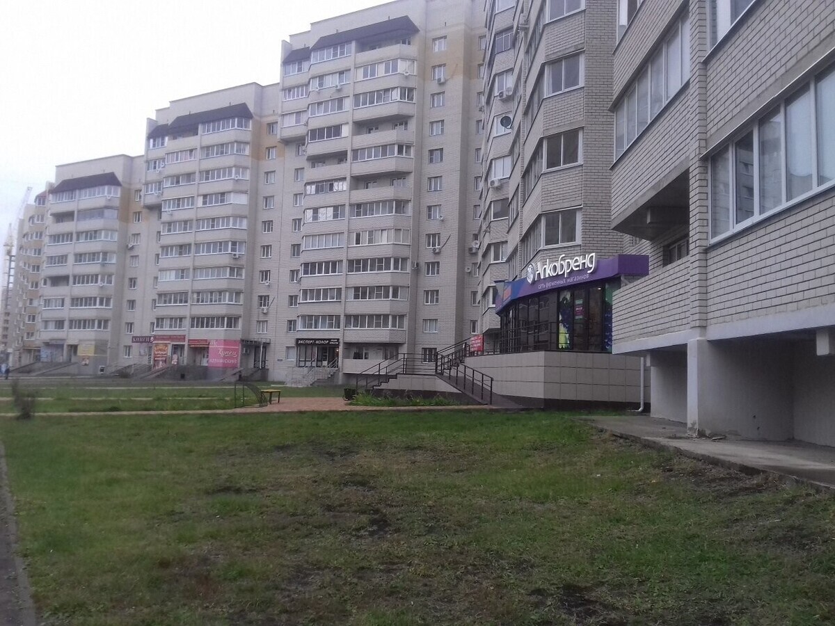 Эксперт-колор