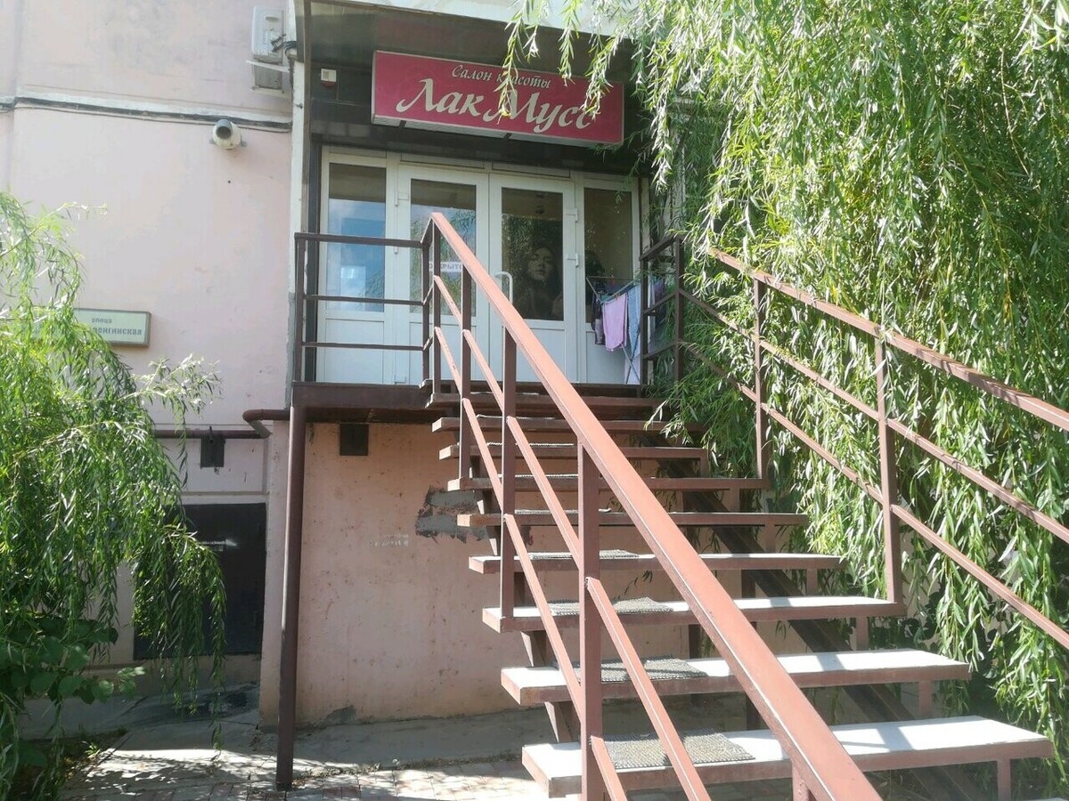 Лакмус