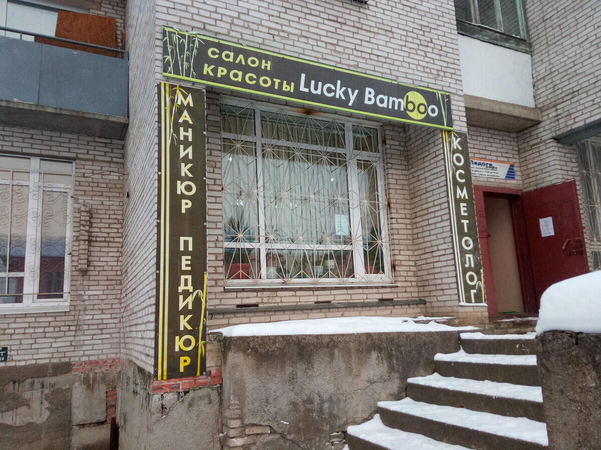 Lucky Bamboo