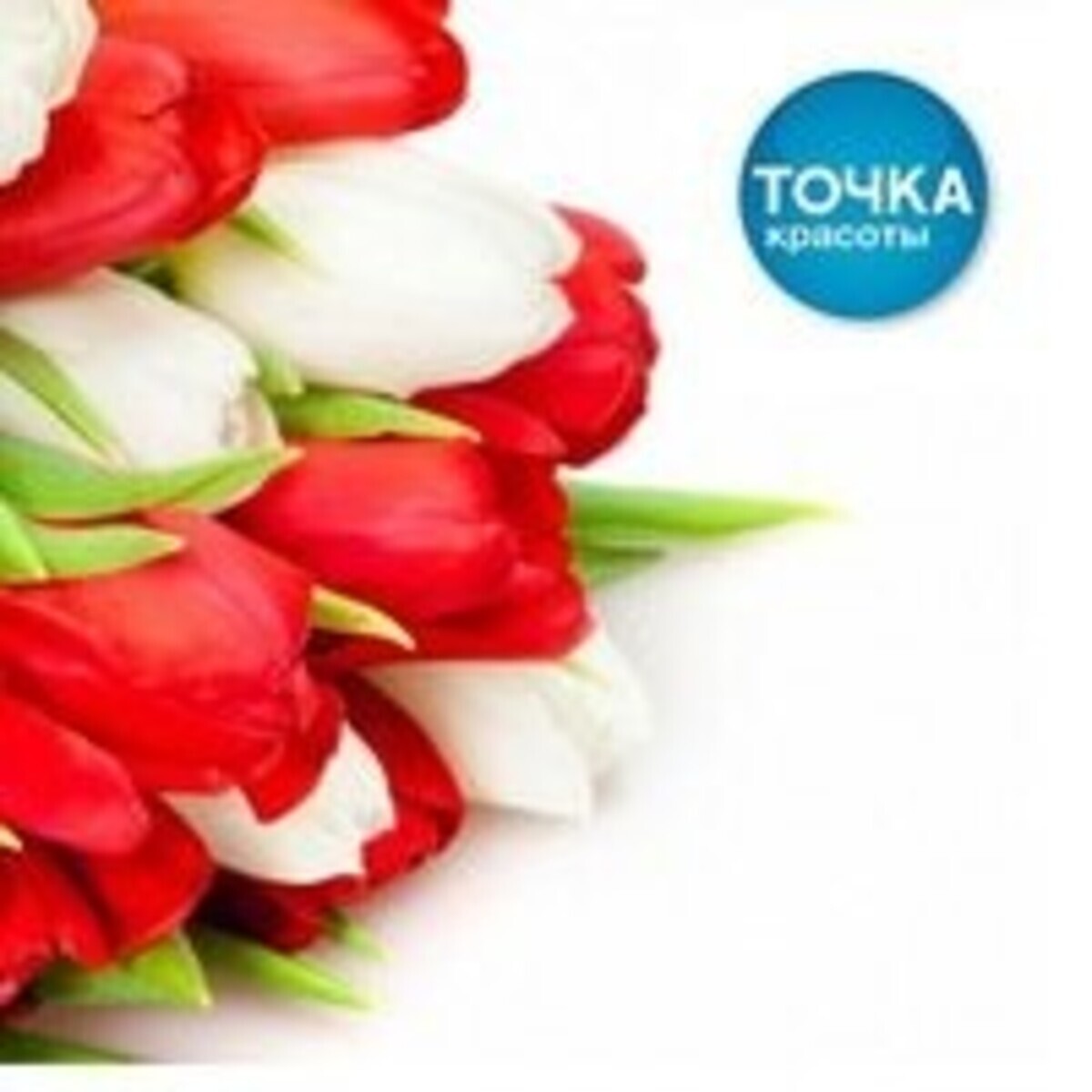 ТОЧКА КРАСОТЫ
