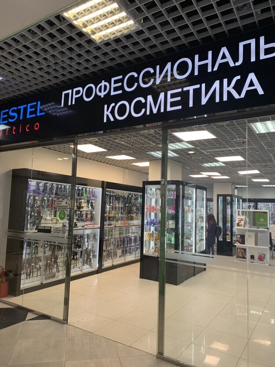 Estel Artico