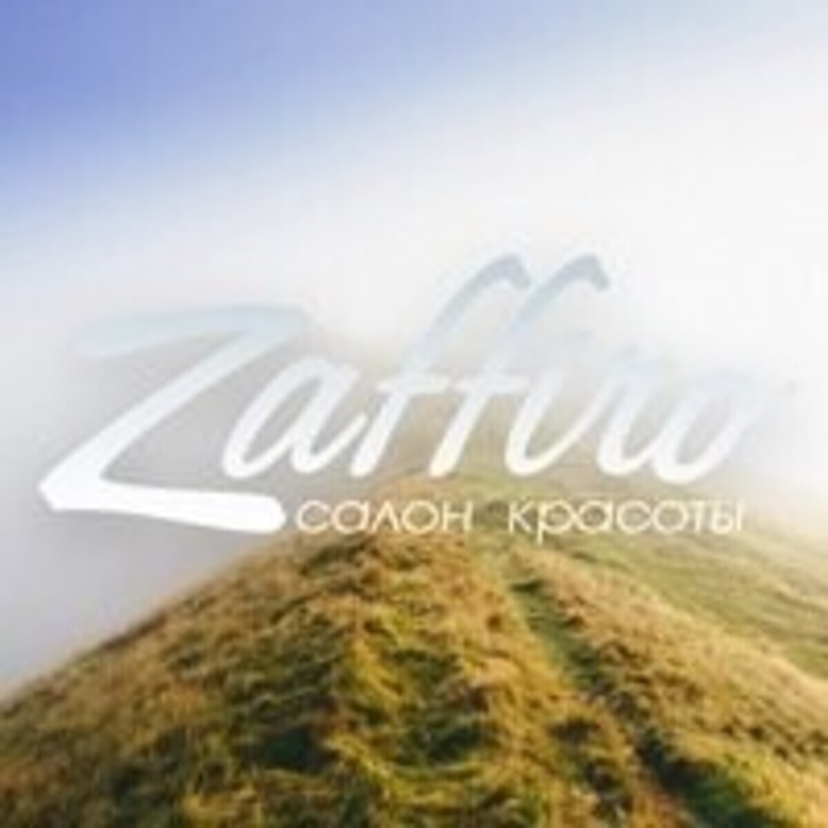 ZAFFIRO - Владивосток - Зона продаж
