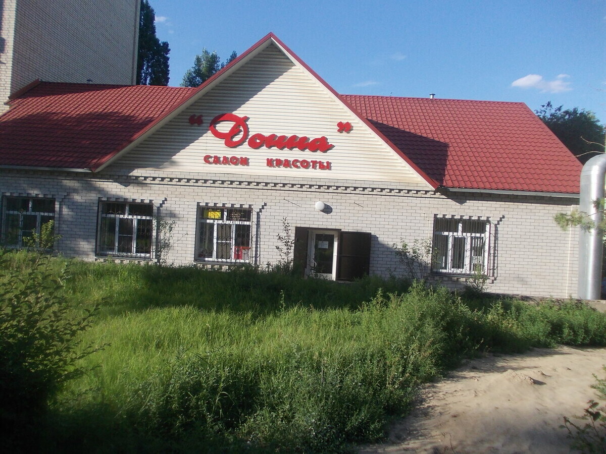 Зебра