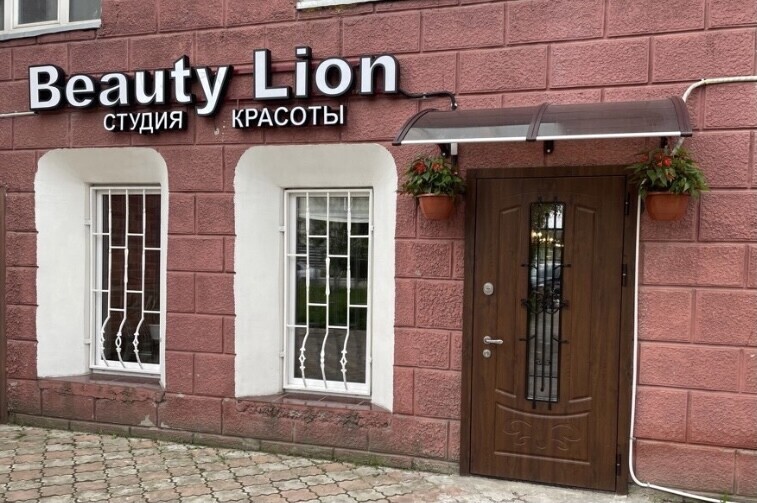 Beauty Lion