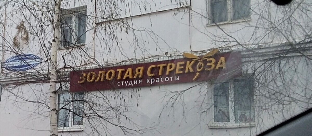 Золотая Стрекоза