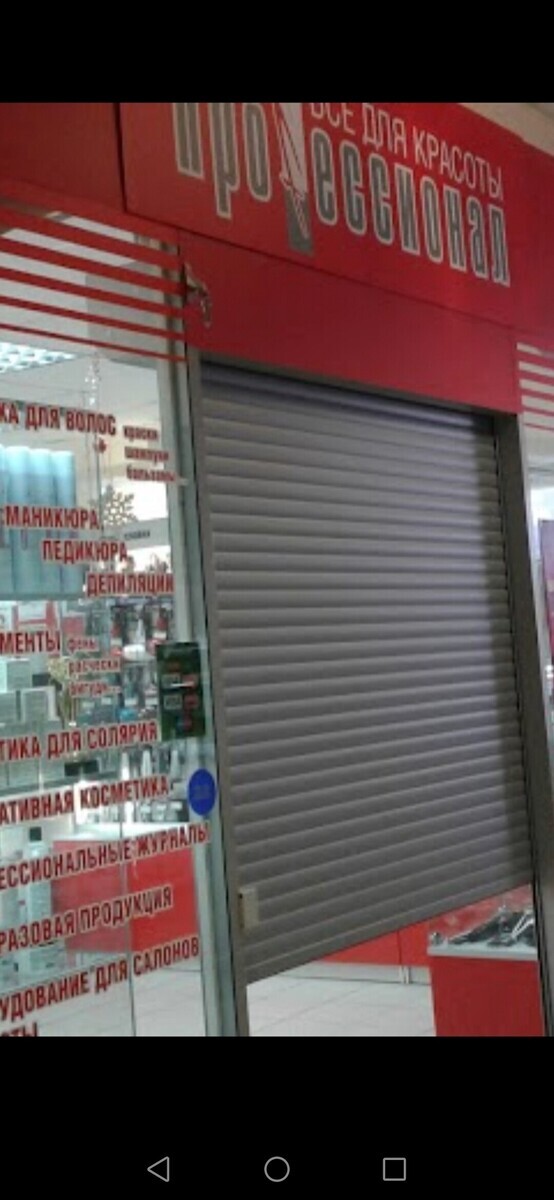 Профессионал