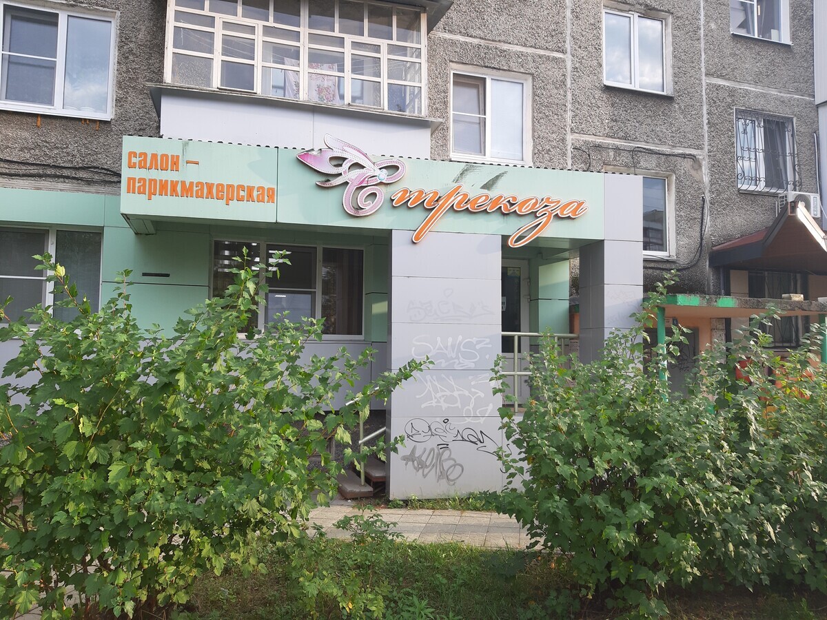 Стрекоза